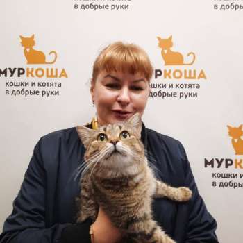 Кохана
