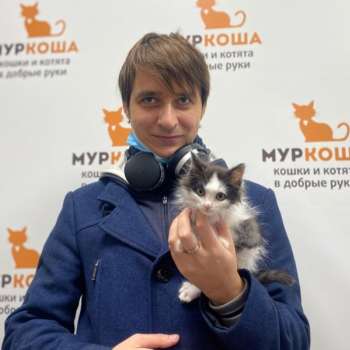 Кокосик