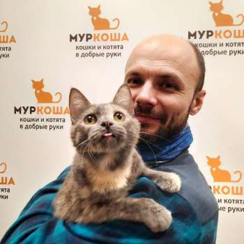 Коташьян