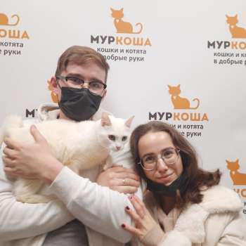 Куколка