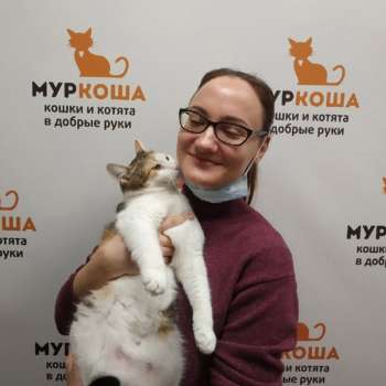 Кунца
