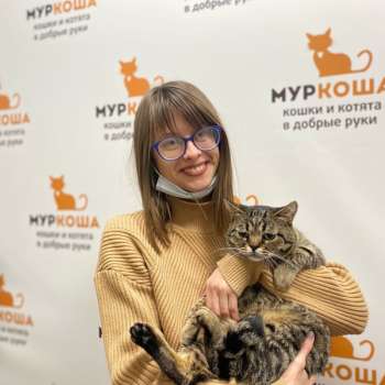 Курносик