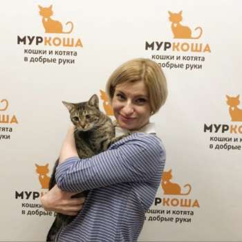 Ляпкин