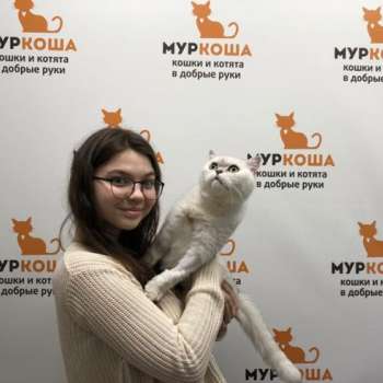Максимус