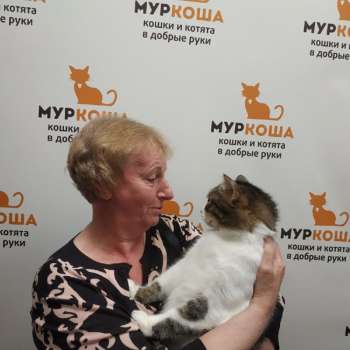 Меркурий