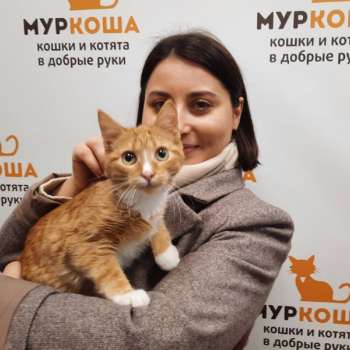 Мицио