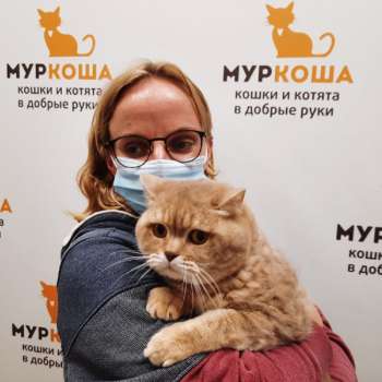 Мирошка