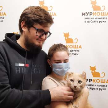 Мохаве