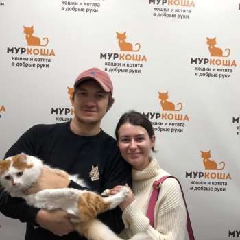 Мумитроль
