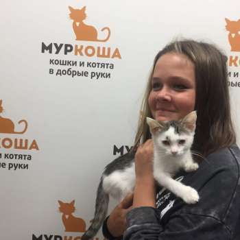 Мусье