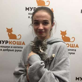 Мяуринью