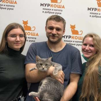 Мышкинс