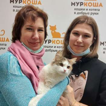 Николле 