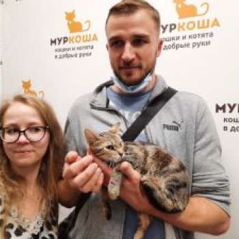 Няшка