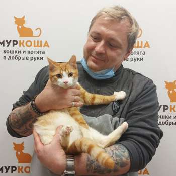 Пармезанчик