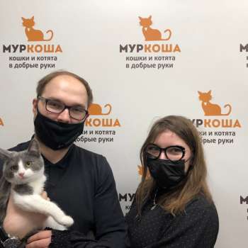 Перельман