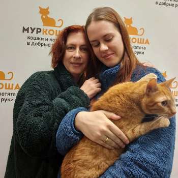 Пиксель