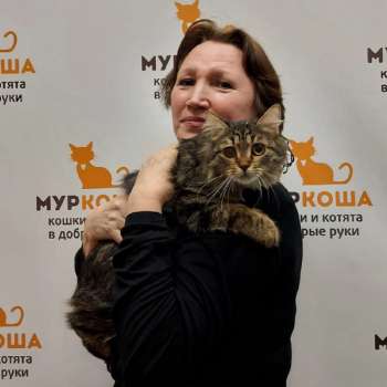 Прима 
