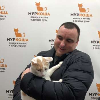 Прованс