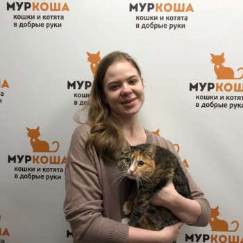 Шпулька