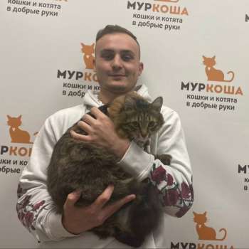 Симыч