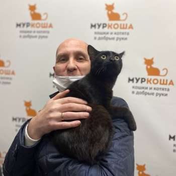 Спирит