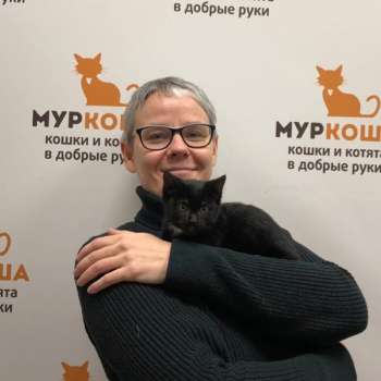 Стразик 