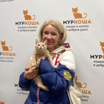 Струнка