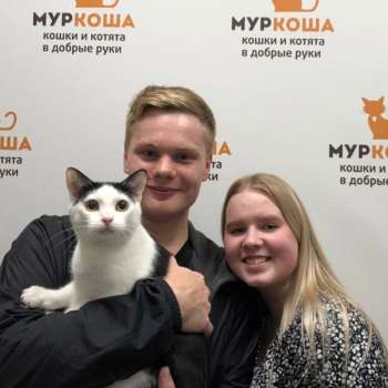 Сулейман