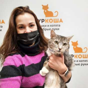 Тихоша 