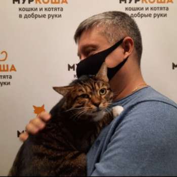 Тризор