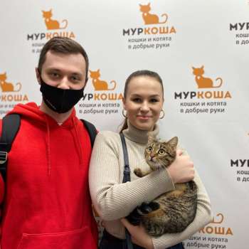 Тростинка