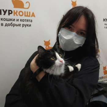 Труффальдино