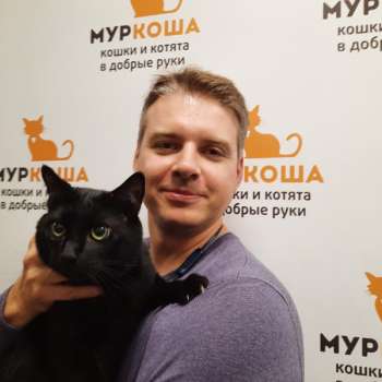 Вандер
