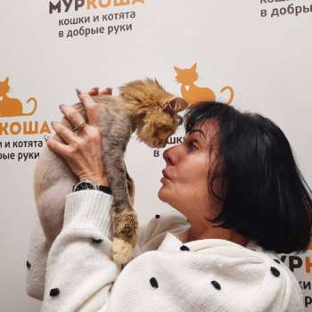 Виноградинка