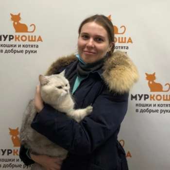 Яникс 