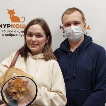 Жаднич