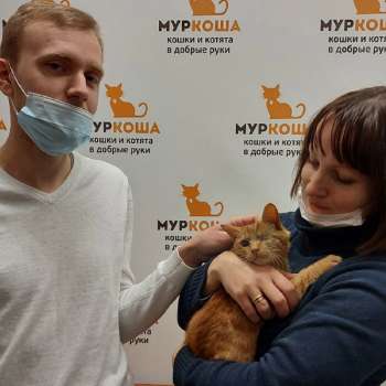 Жанлис 