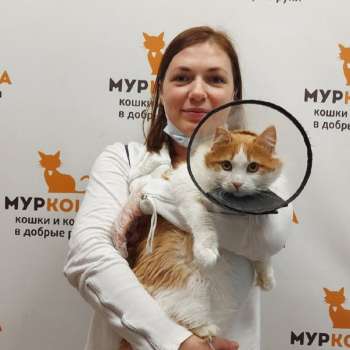 Абрикос 