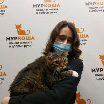 Агриппина