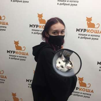 Альбион