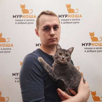 Алисента 