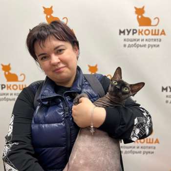 Амон Ра