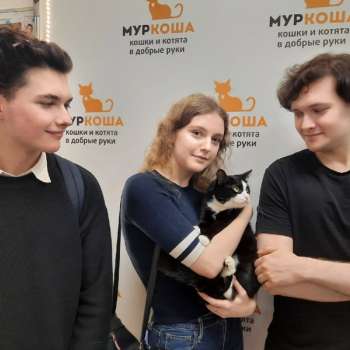 Анютка