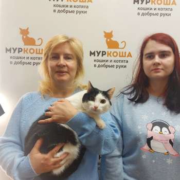 Арабелла 