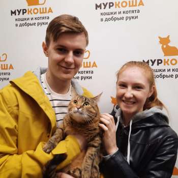 Арника