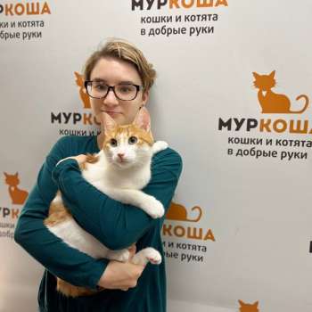 Аштон