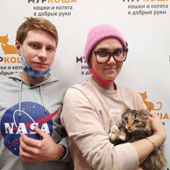 Асоли 