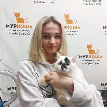 Авалон 