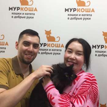 Баффи 